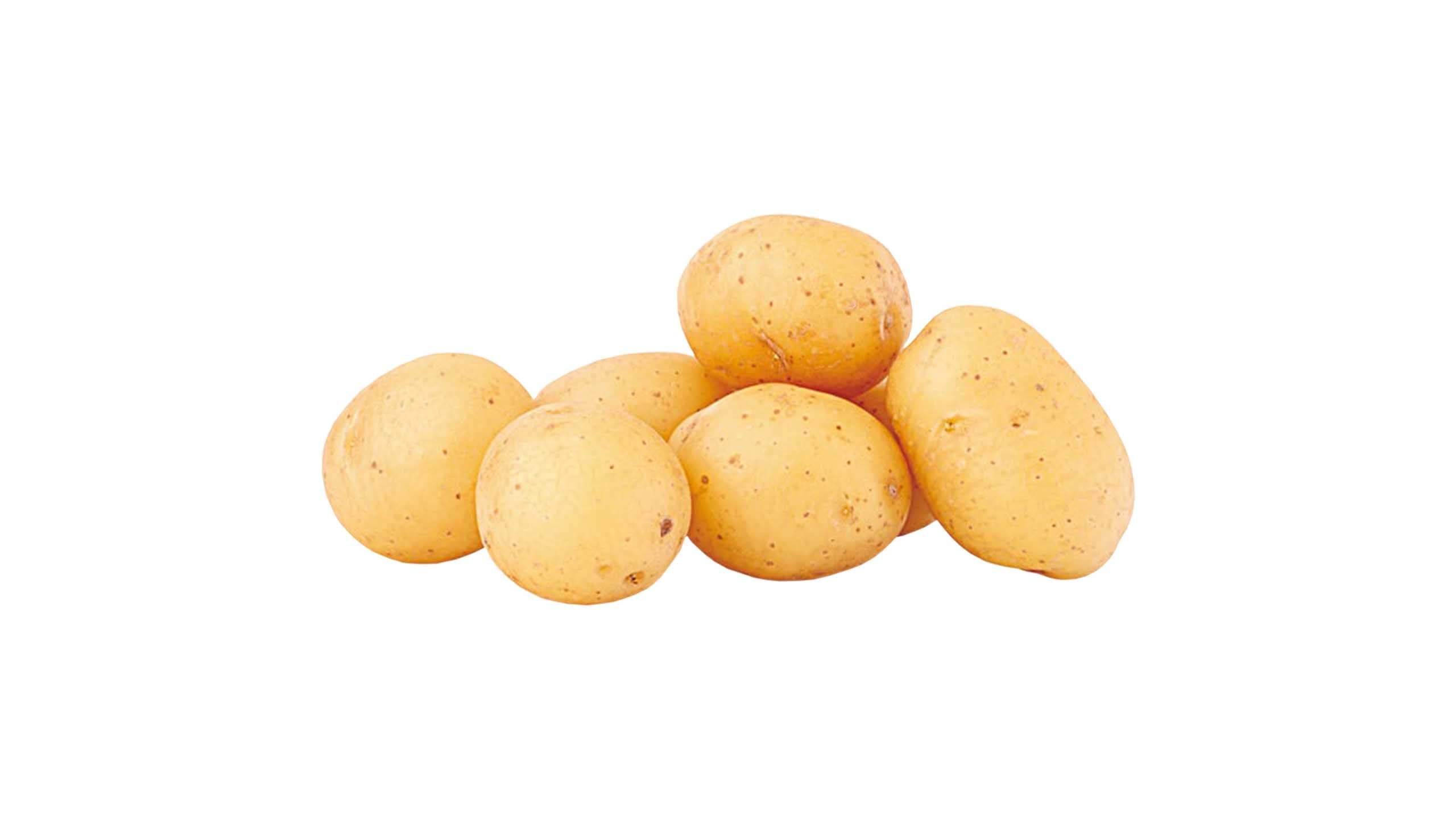 Japan Potato 3pcs 1 Pack