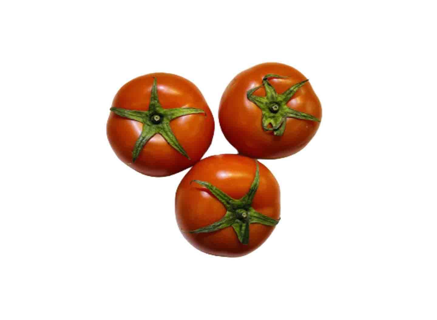 Tomato 1 Catty