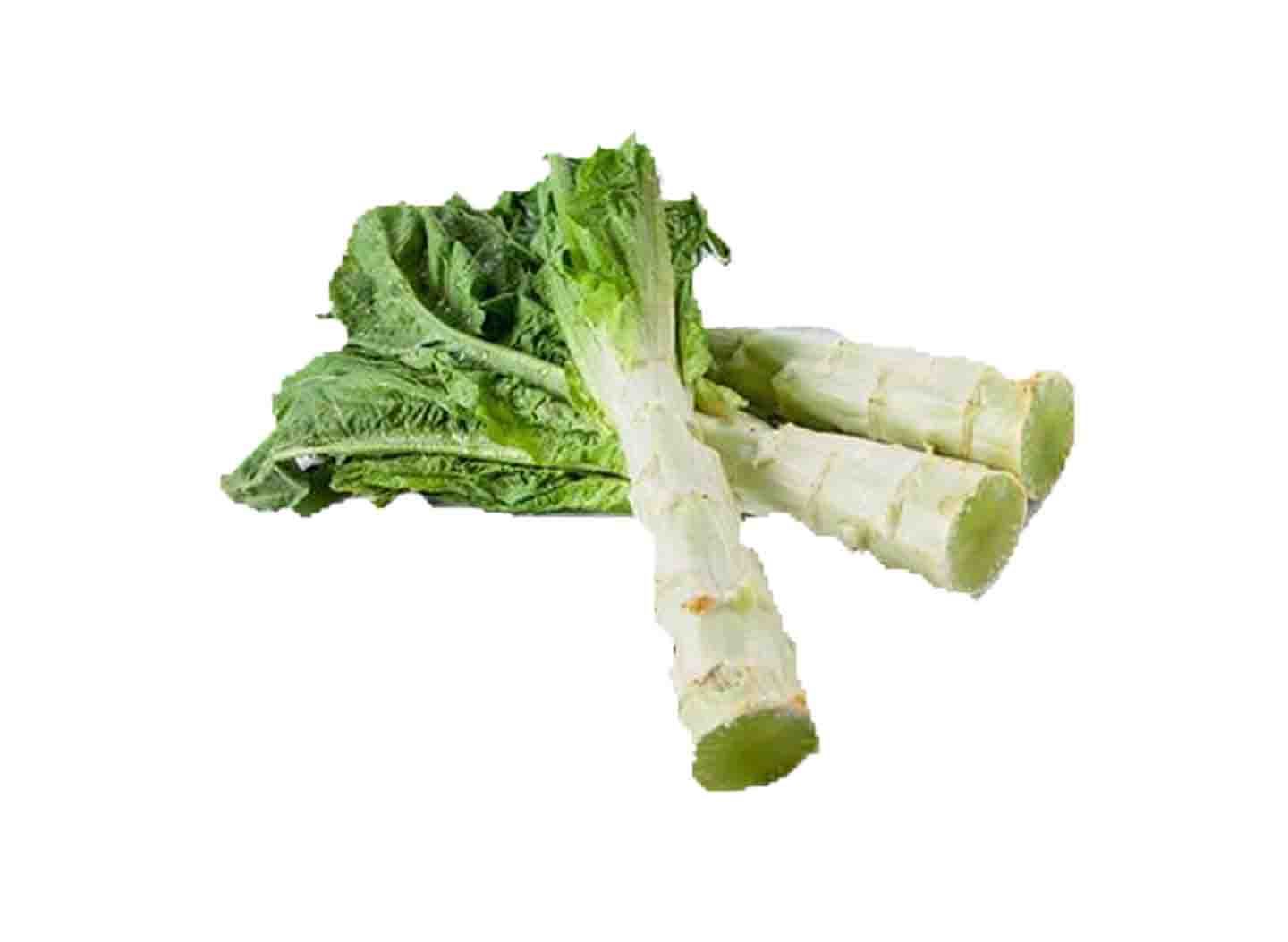Celtuce 1 Catty