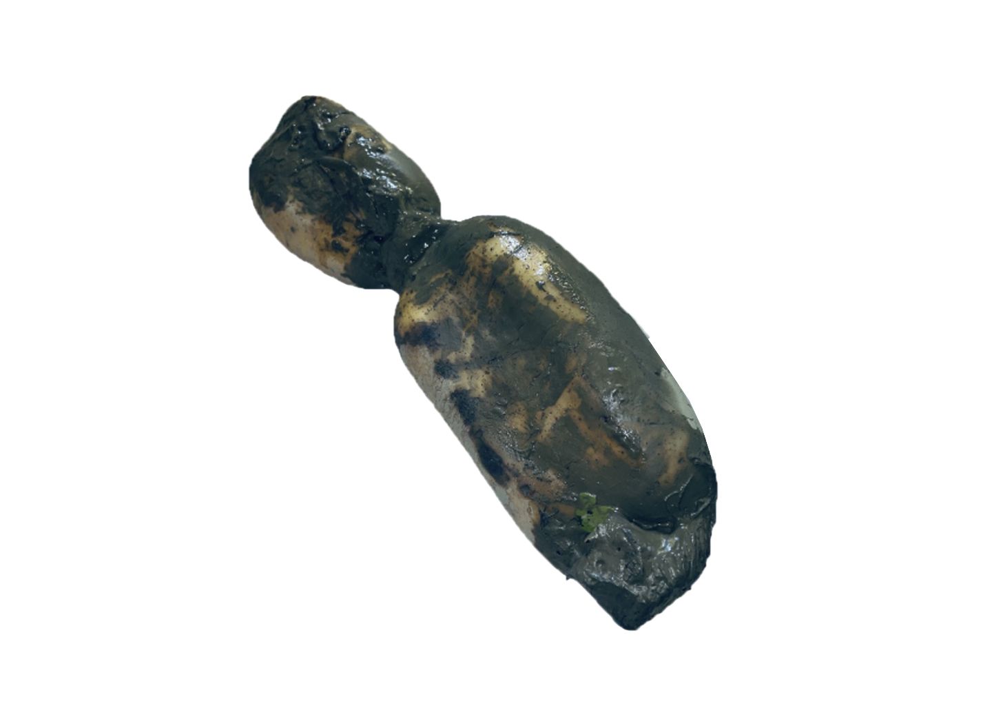 Lotus Root with Mud 1 Catty