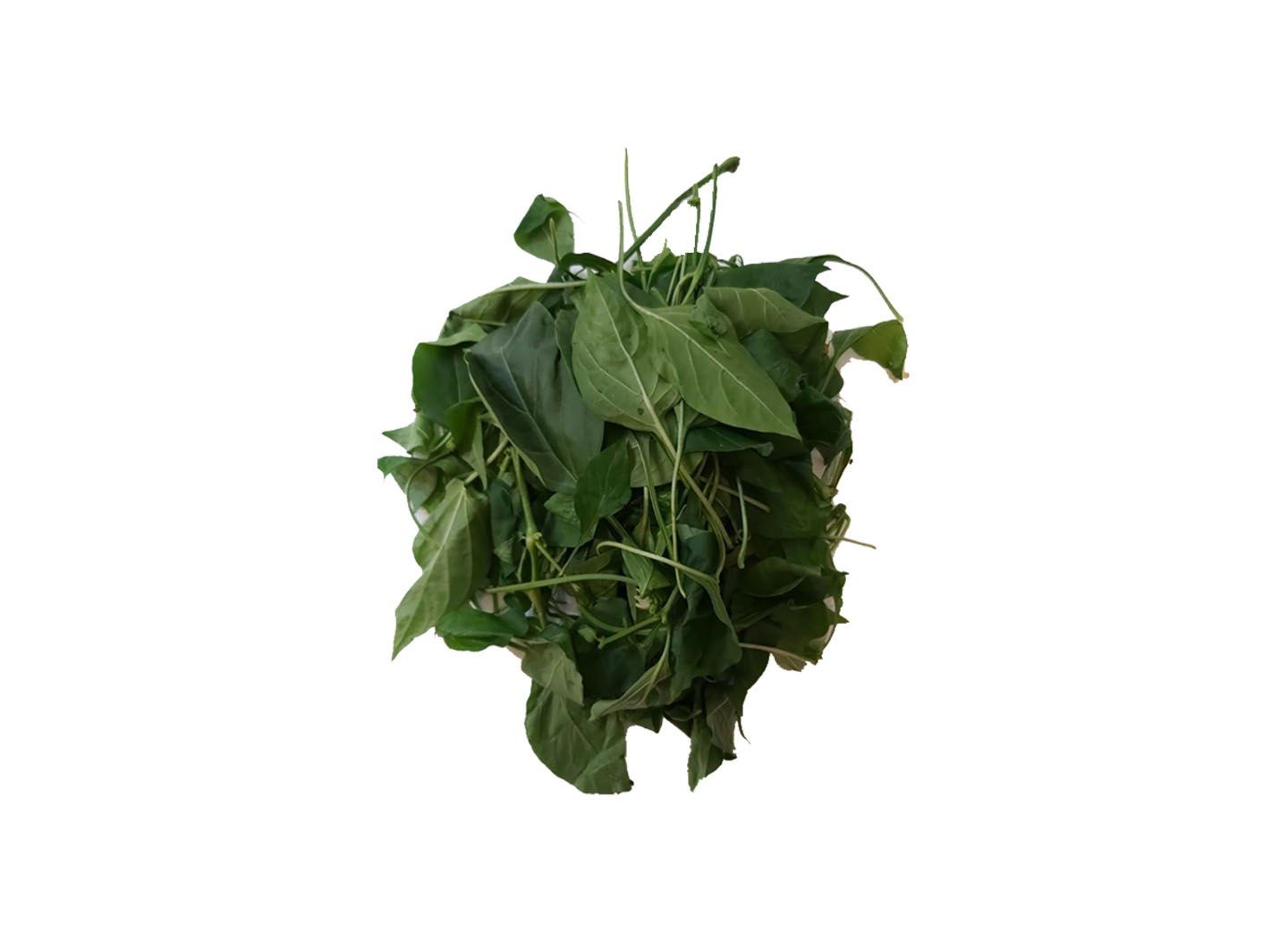 本地辣椒葉 1斤