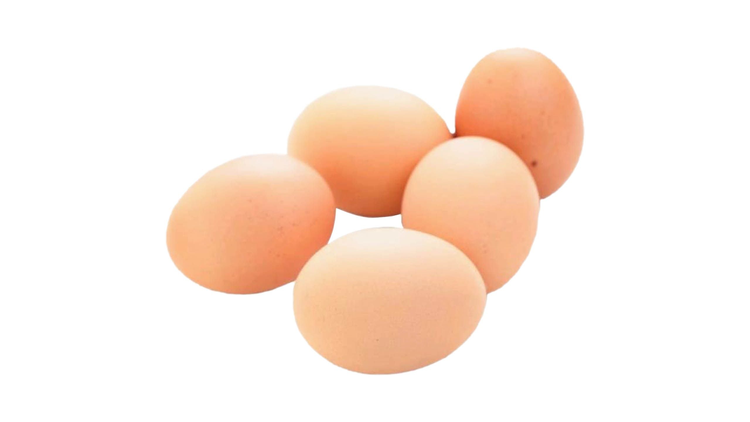 走地雞雞蛋 15隻