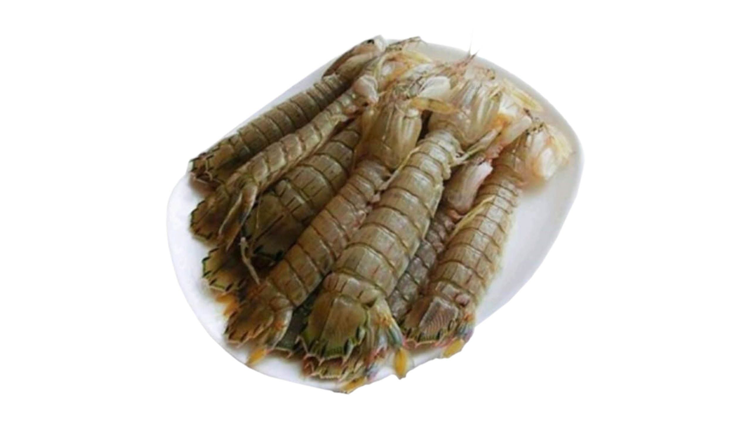 生猛瀨尿蝦 1斤