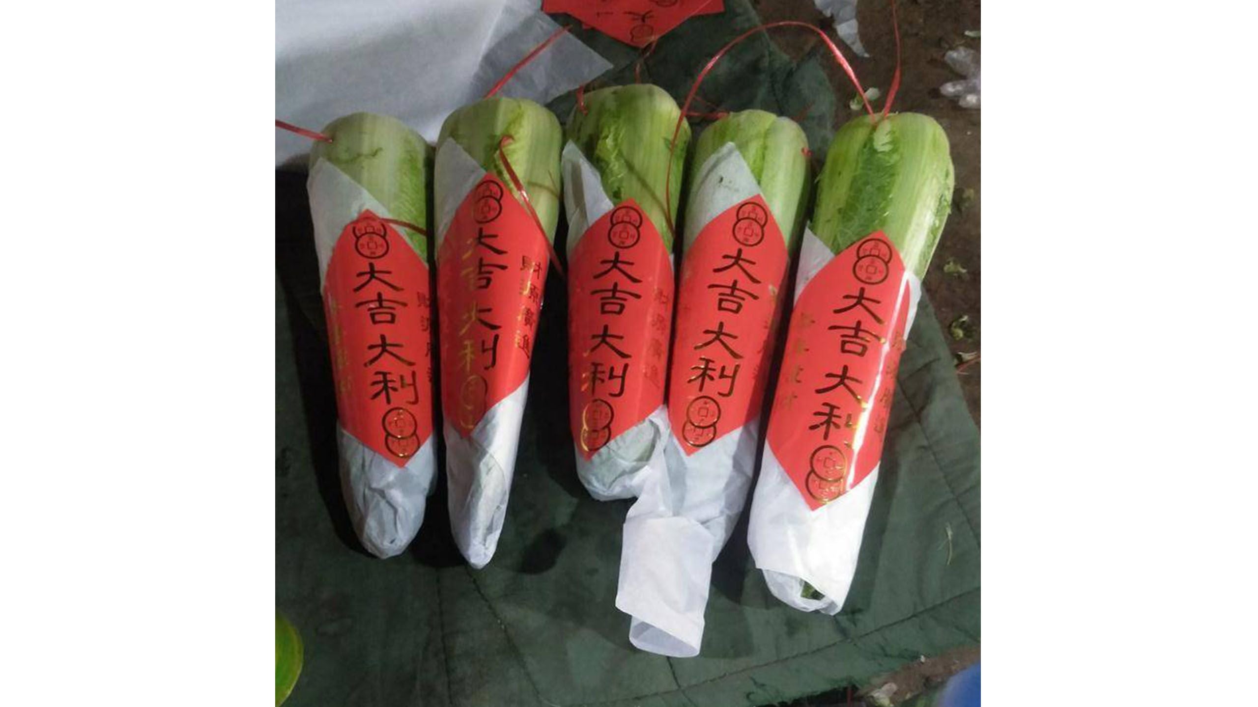 大吉大利紹菜 1棵