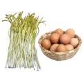 [材料套餐] 韭黃炒蛋 (3至4人份量) 1包