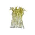韭黃 1斤