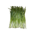 大韭菜 1斤