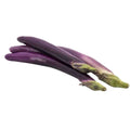 Finger Eggplant 1 Catty