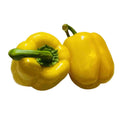 黃圓椒 1斤