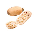 Lotus Root 1 Catty