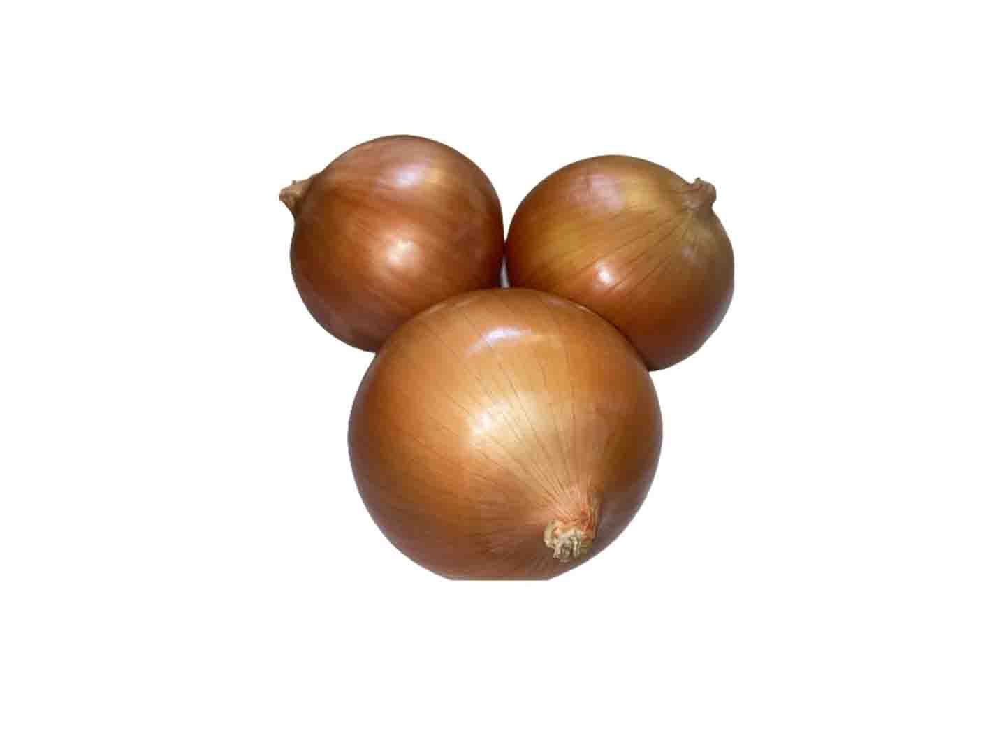 洋蔥 1斤