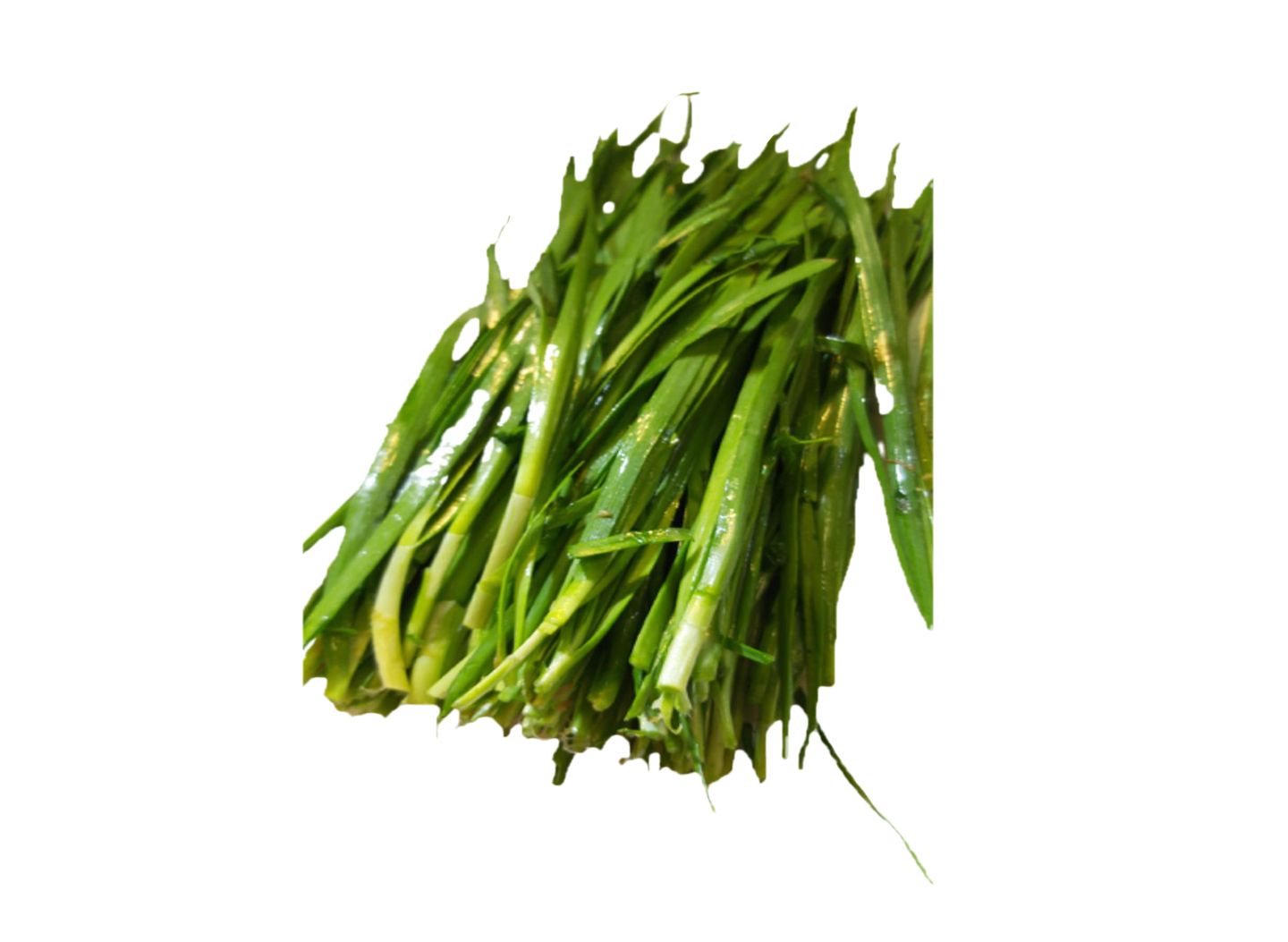 小韭菜 0.5斤