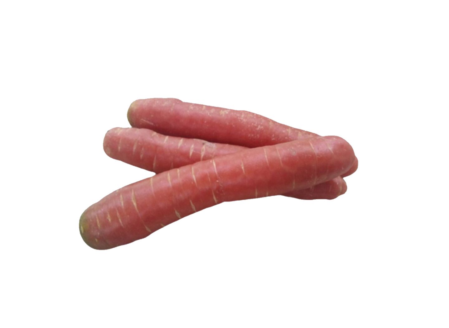 Sweet Carrot 1 Packet