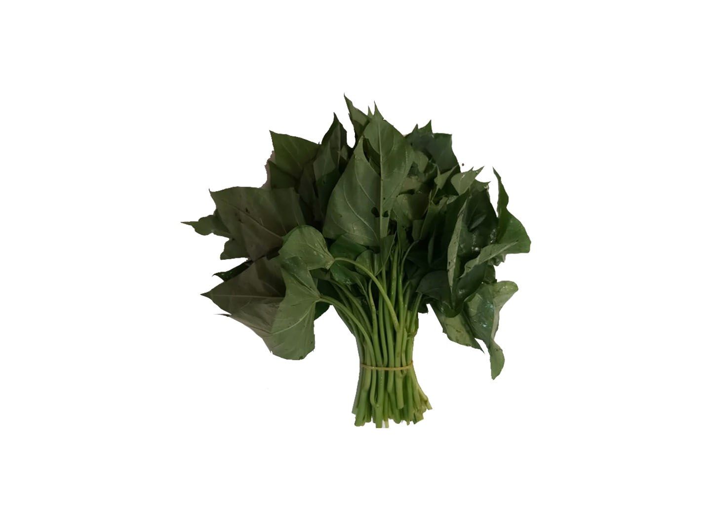 本地番薯苗 1斤