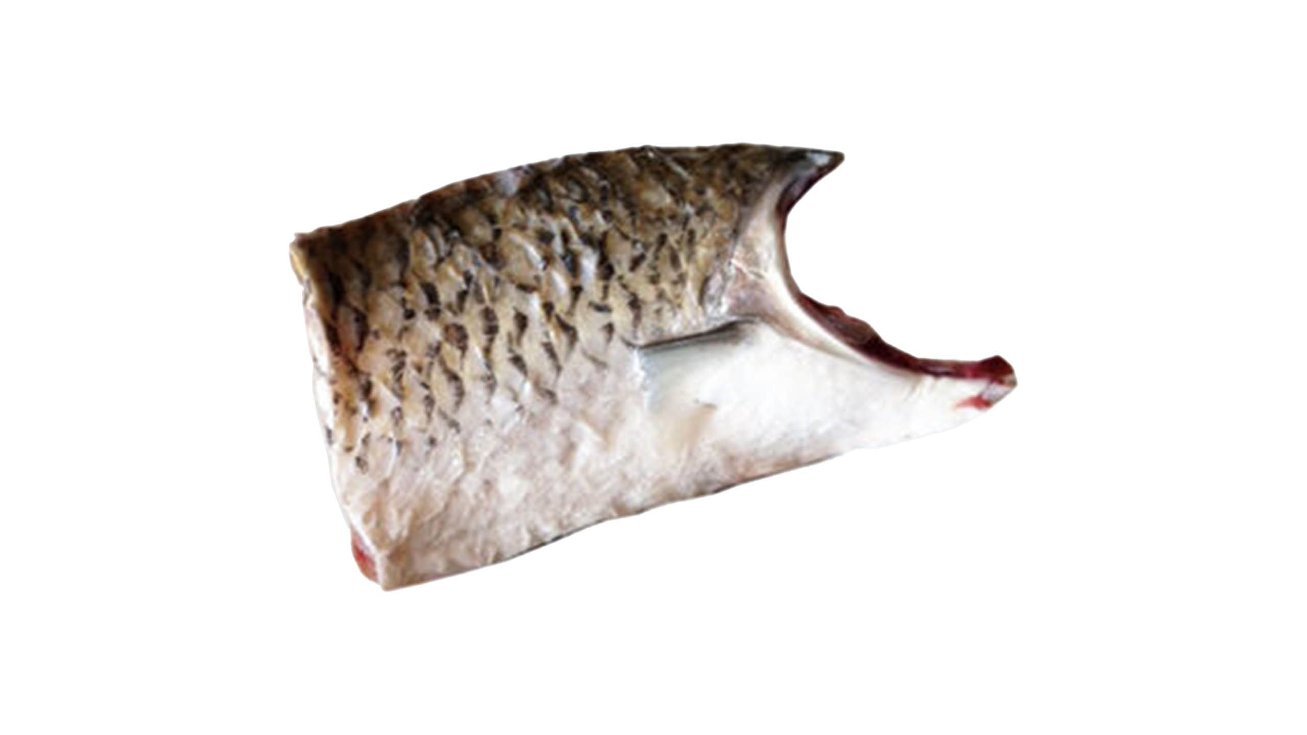 鯇魚腩中間位 1塊